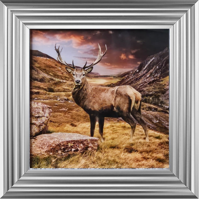 Stag