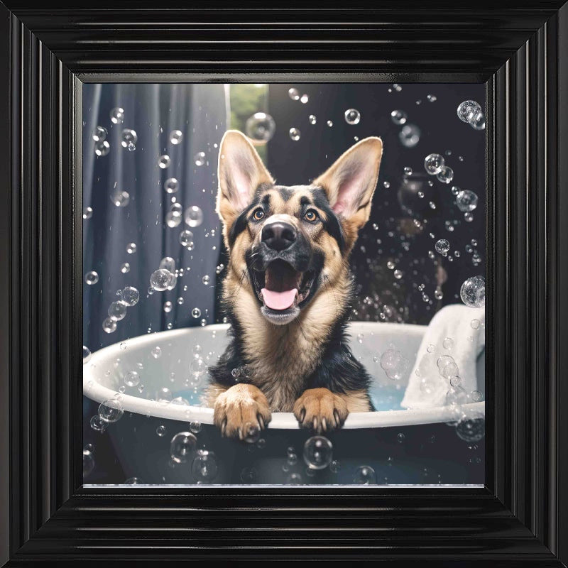 German Shepard Bath Time