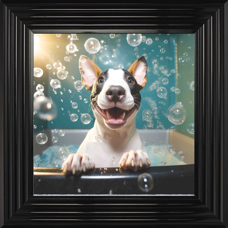 English Bull Terrier Bath Time