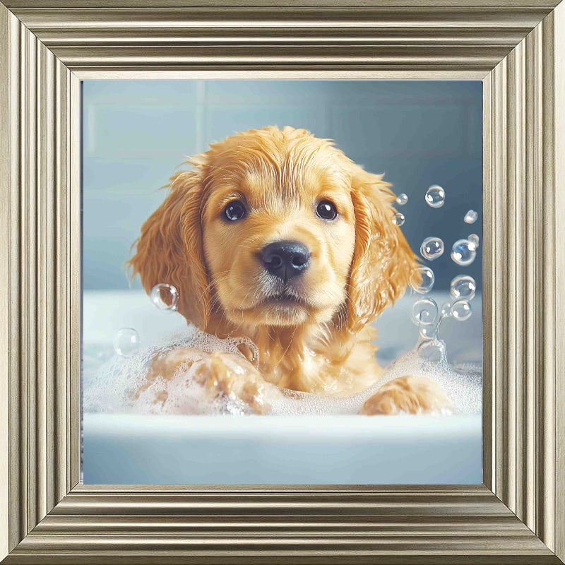 Golden Retriever Puppy Bath Time