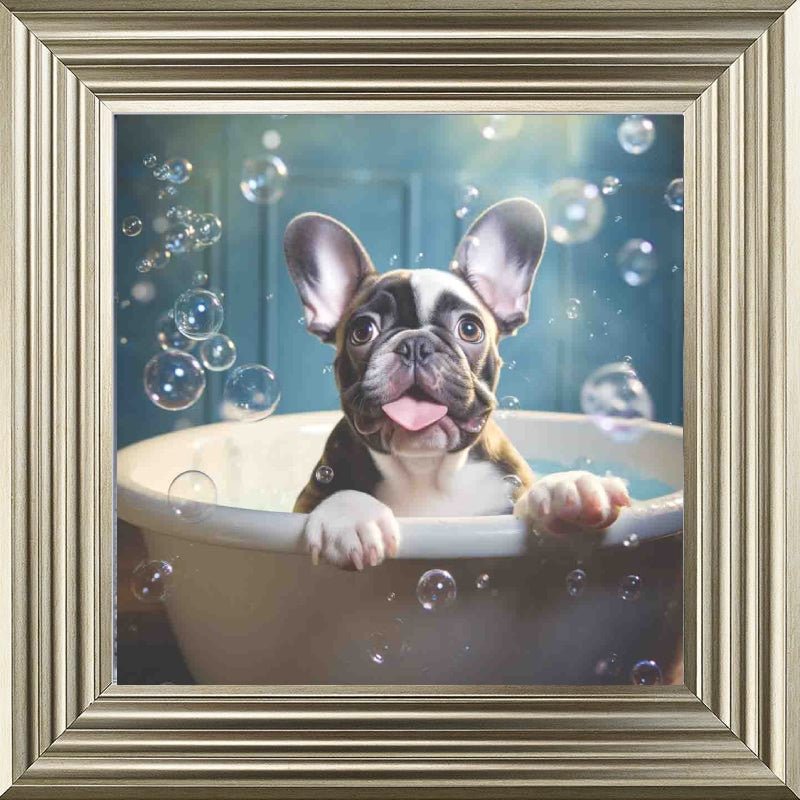 French Bull Dog Bath Time