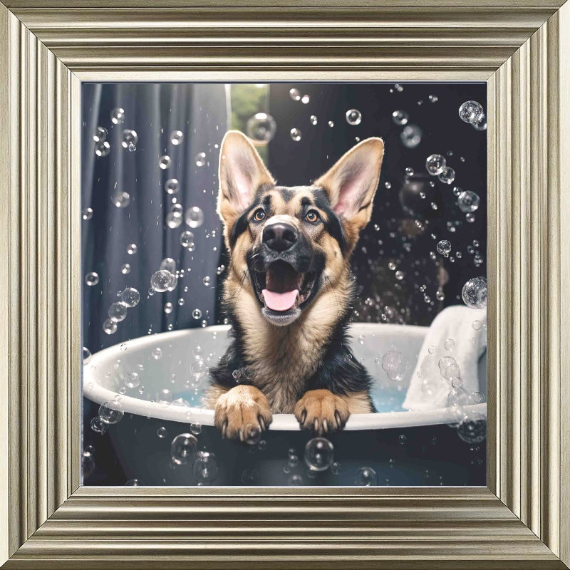 German Shepard Bath Time