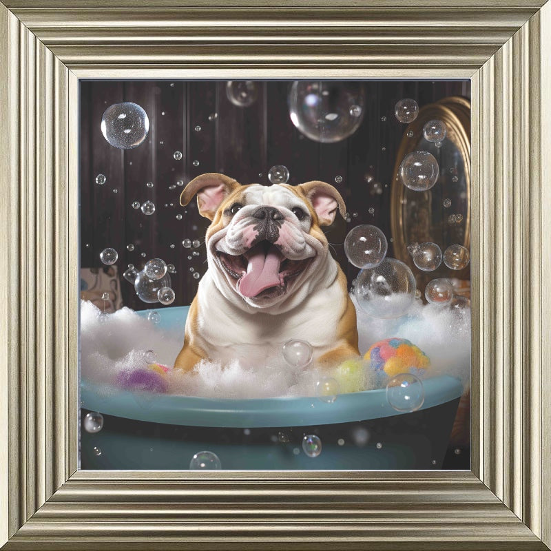 Bulldog Bath Time