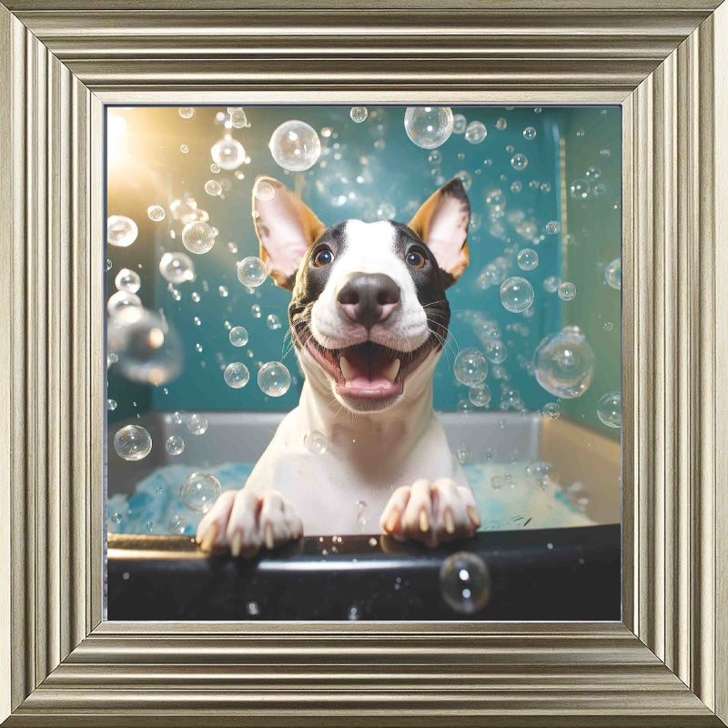 English Bull Terrier Bath Time