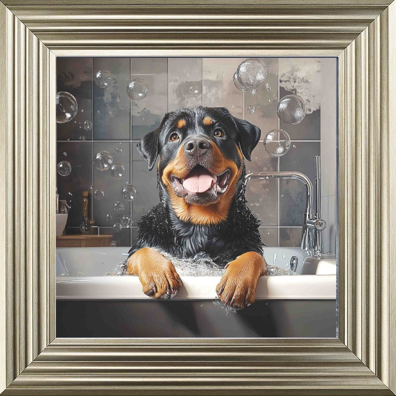 Rotweiller Bath Time