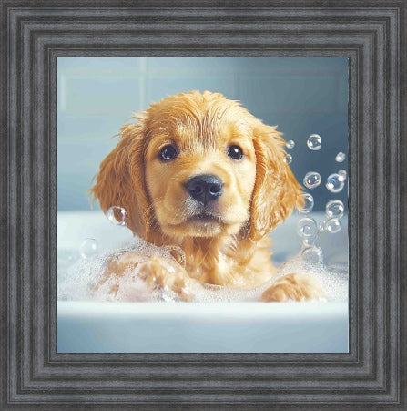 Golden Retriever Puppy Bath Time