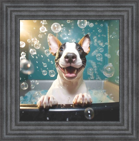 English Bull Terrier Bath Time
