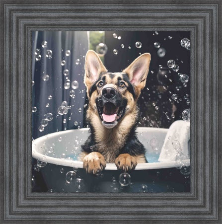 German Shepard Bath Time