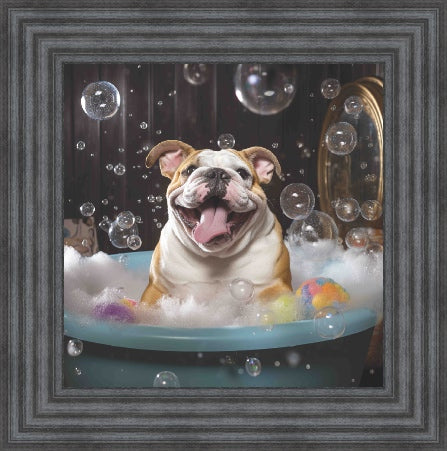 Bulldog Bath Time