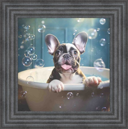 French Bull Dog Bath Time