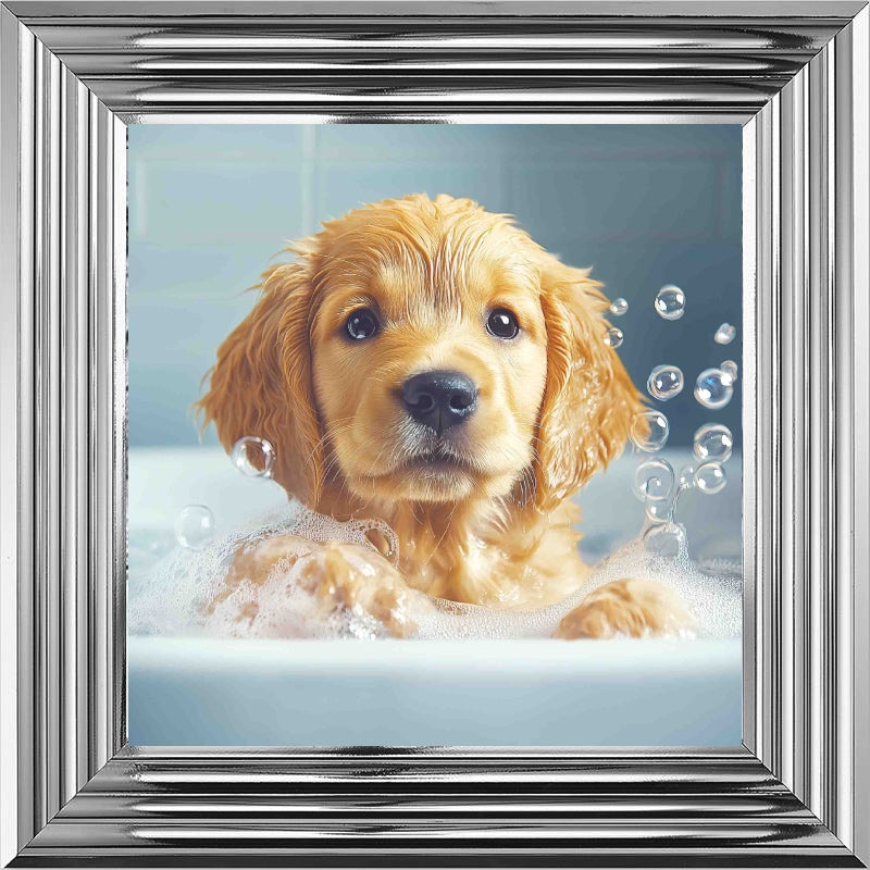 Golden Retriever Puppy Bath Time