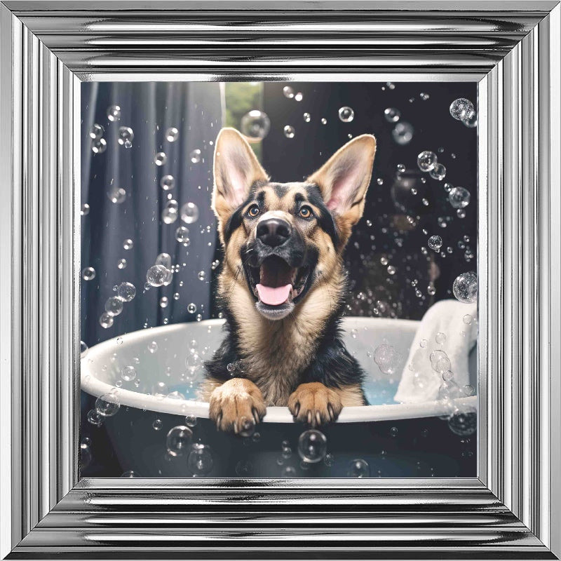 German Shepard Bath Time