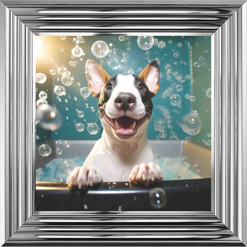 English Bull Terrier Bath Time