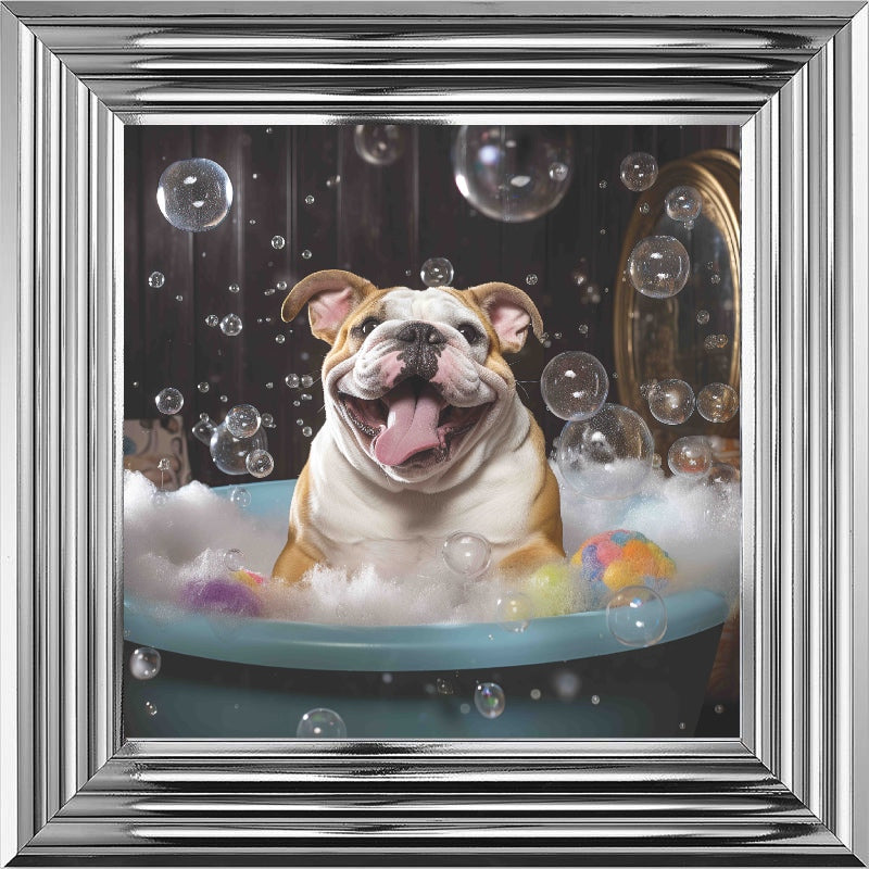 Bulldog Bath Time
