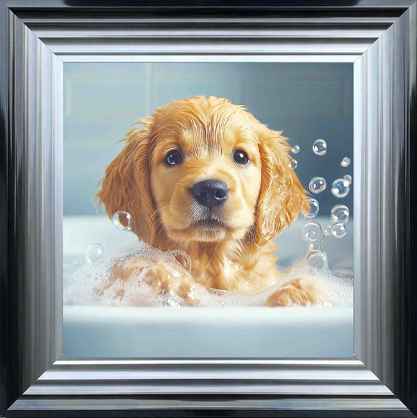 Golden Retriever Puppy Bath Time