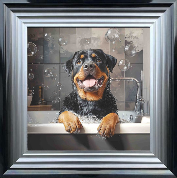 Rotweiller Bath Time