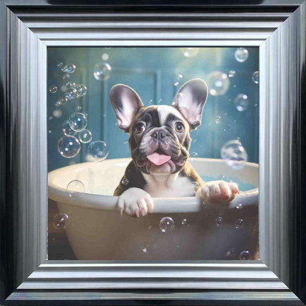 French Bull Dog Bath Time