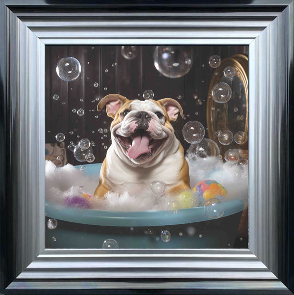 Bulldog Bath Time