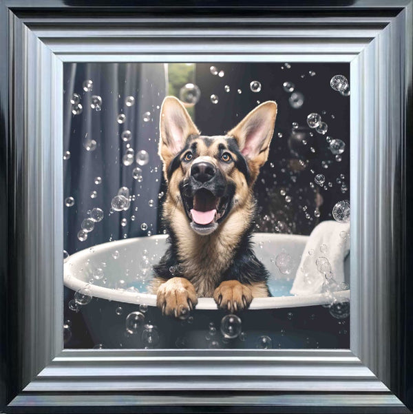 German Shepard Bath Time