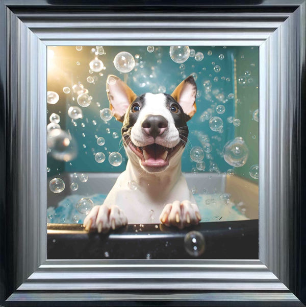 English Bull Terrier Bath Time