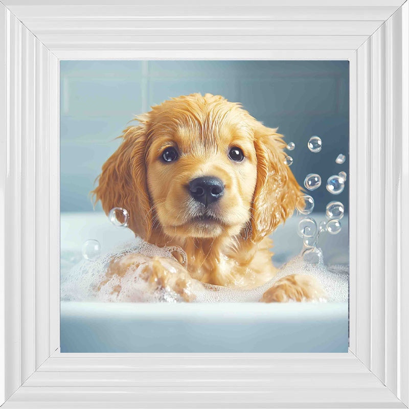 Golden Retriever Puppy Bath Time