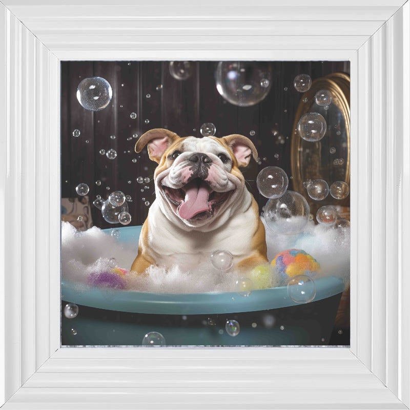 Bulldog Bath Time