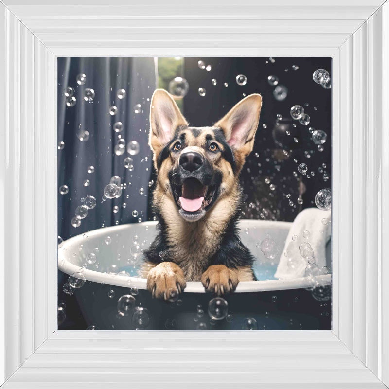German Shepard Bath Time