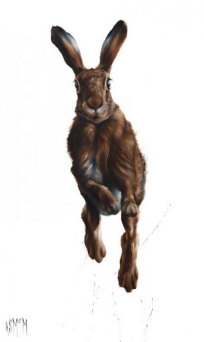 Highland Spring Hare Art Printby Georgina McMaster