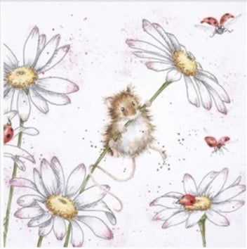 Oops a Daisy by Hannah Dale