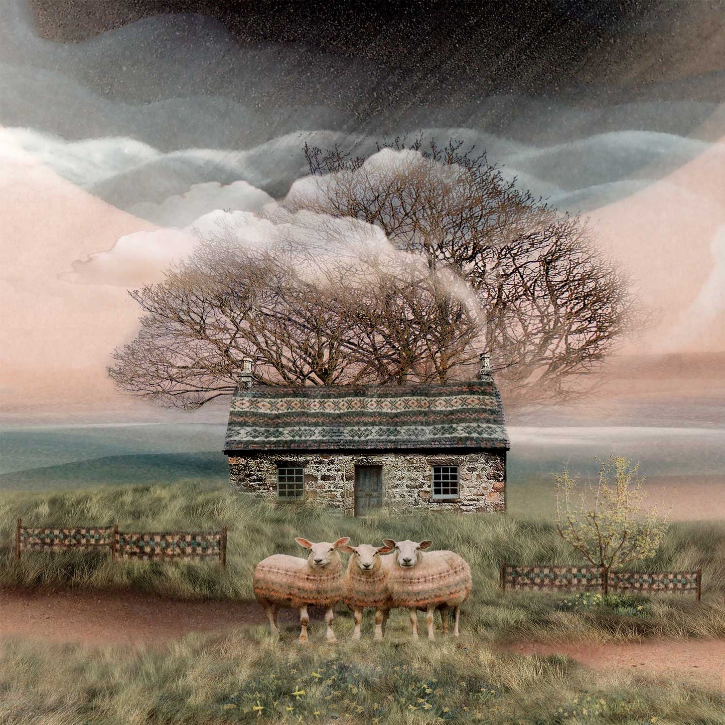 Sea Grass Bothy by Esther Cohen