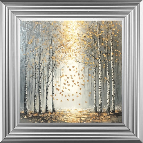 Silver Birch Moody Gold