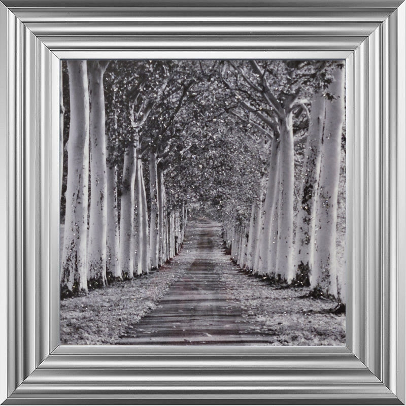 Tree Lined Walk