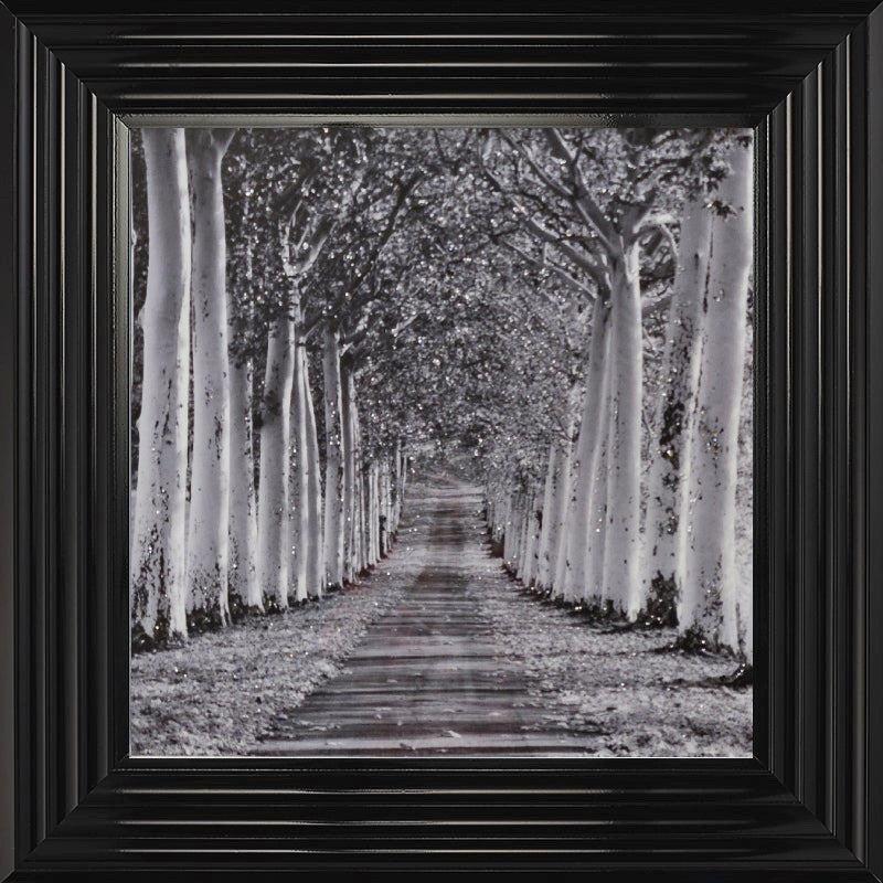 Tree Lined Walk