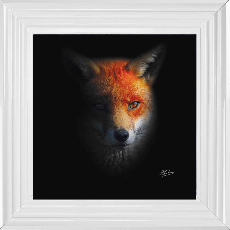 Dark Fox