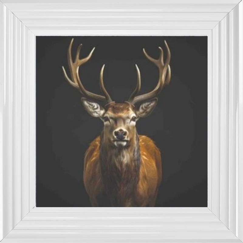 Majestic Stag