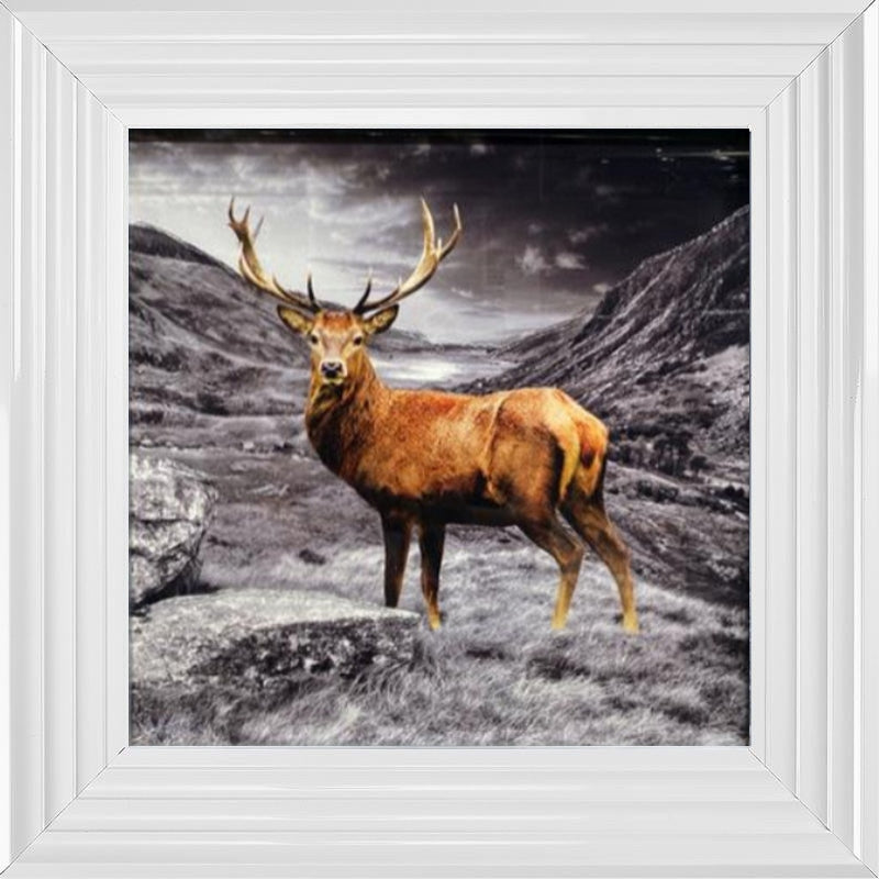 Stag - Colour Splash