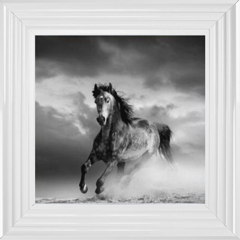 Horse in Sandstorm - Black and White