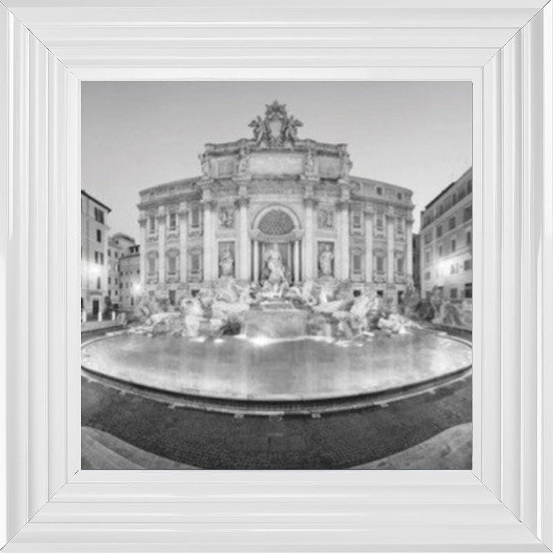 Trevi Fountain, Rome - Black and White