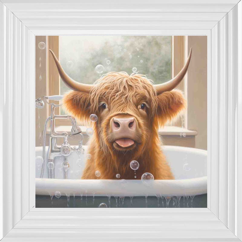 Highland Cow Bath Time