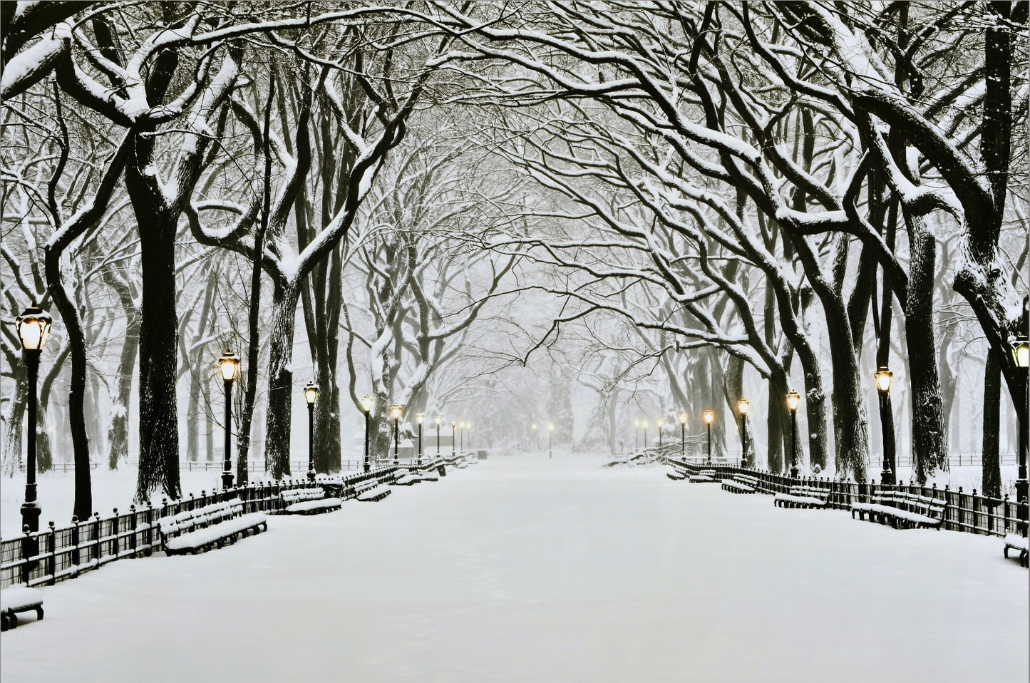 Winter Walk, New York
