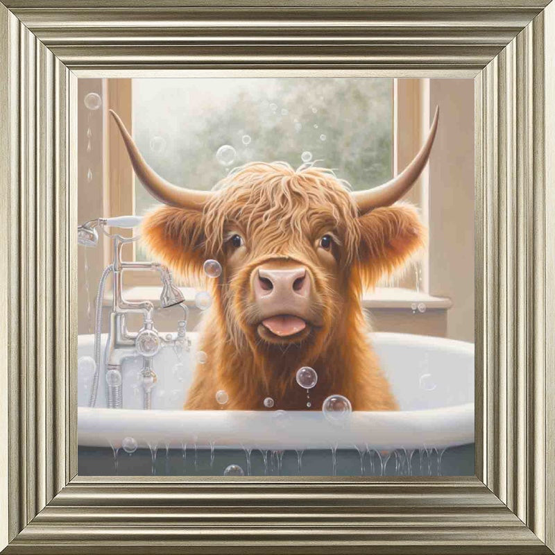 Highland Cow Bath Time