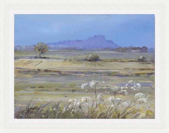 Stirling Castle from Bridge of Allan by Allison Young