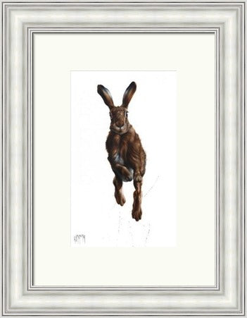 Highland Spring Hare Art Printby Georgina McMaster