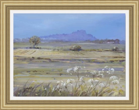 Stirling Castle from Bridge of Allan by Allison Young framed wall art print showing Stirling Castle from Bridge of Allan with surrounding Scottish landscape