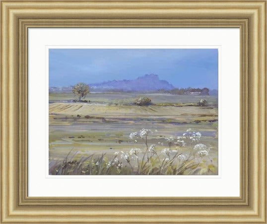 Stirling Castle from Bridge of Allan by Allison Young framed wall art print showing Stirling Castle from Bridge of Allan with surrounding Scottish landscape