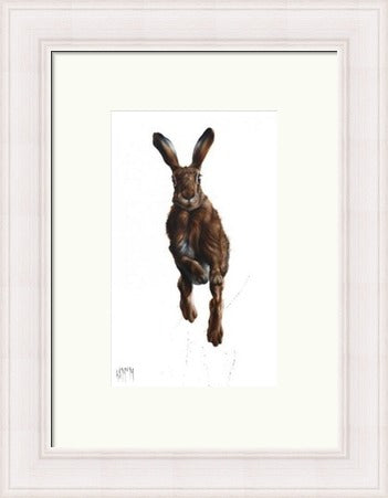 Highland Spring Hare Art Printby Georgina McMaster