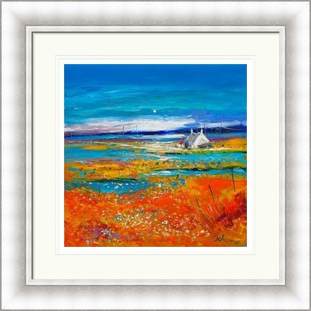 Machair Wild Cotton and Wild Flowers, South Uist by Jolomo