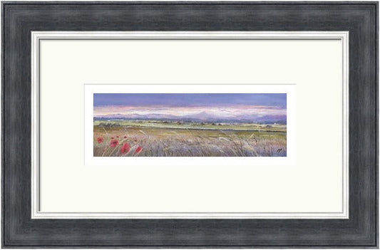 Sunset and Poppies, Back o'Hill Stirling by A Young