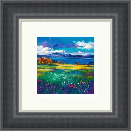 Tokavaig, Skye by Jean Feeney