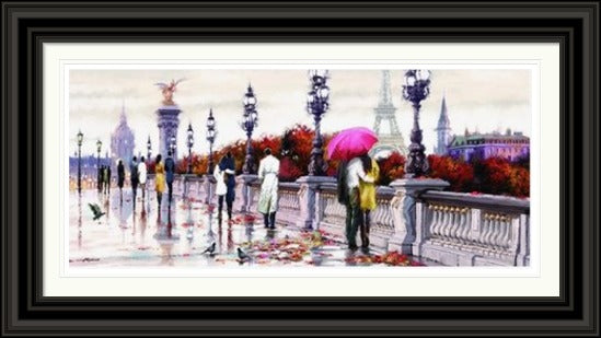 Alexander Bridge Paris by Richard MacNeil